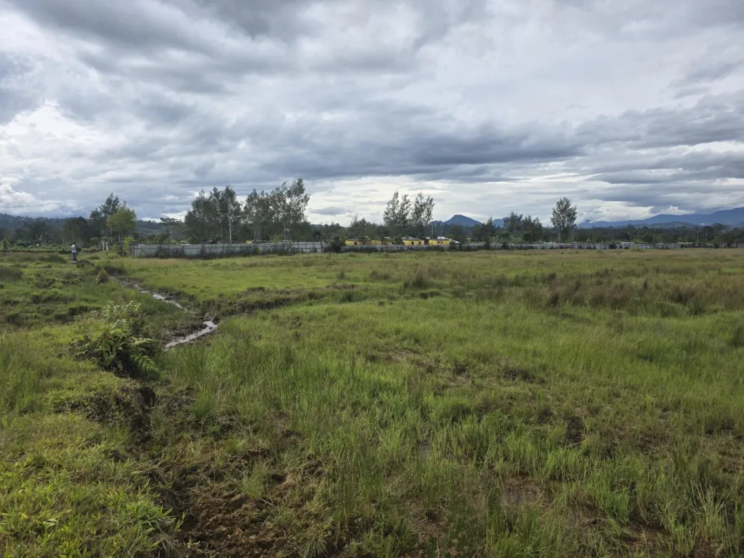 1771900832198861.png 640.webp (2).png